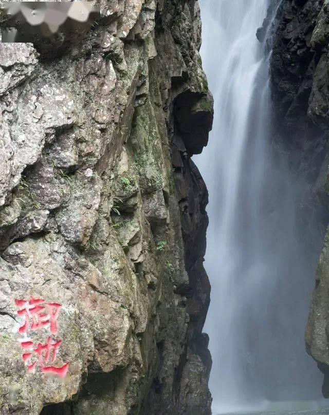 尽在你怎么理解「看脸」?,发现问题答案的好去处